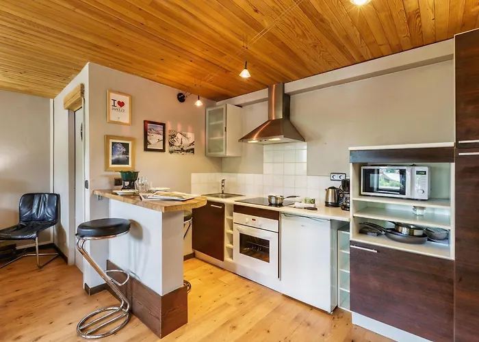 Appartement Rochebrune De 32 - Happy *